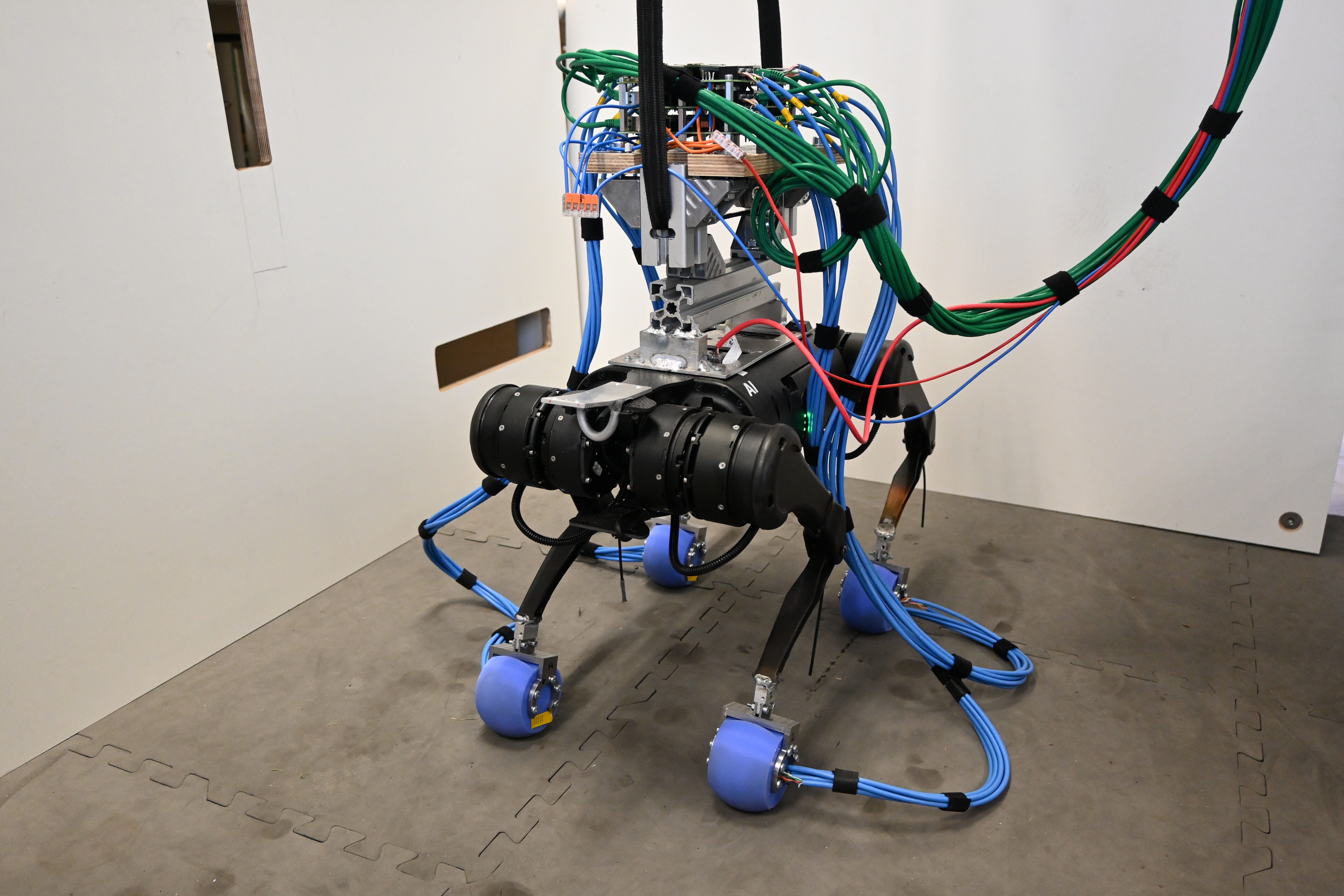 Unitree Go1 quadruped fitted with custom electronics, cabling, and tactile sensor feet.
